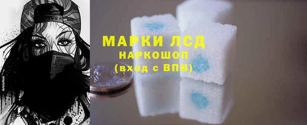 PSILOCYBIN Вяземский