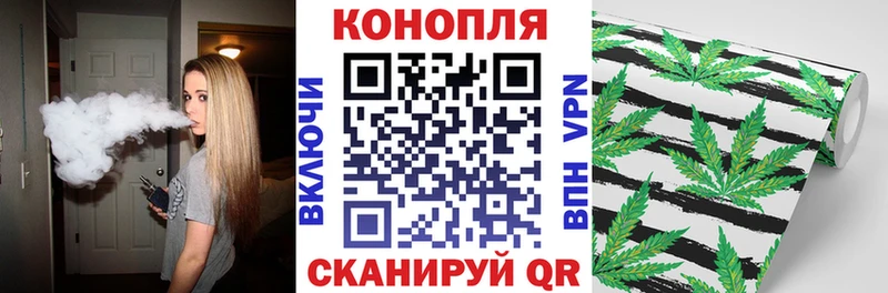 наркошоп  Вытегра  Марихуана OG Kush 